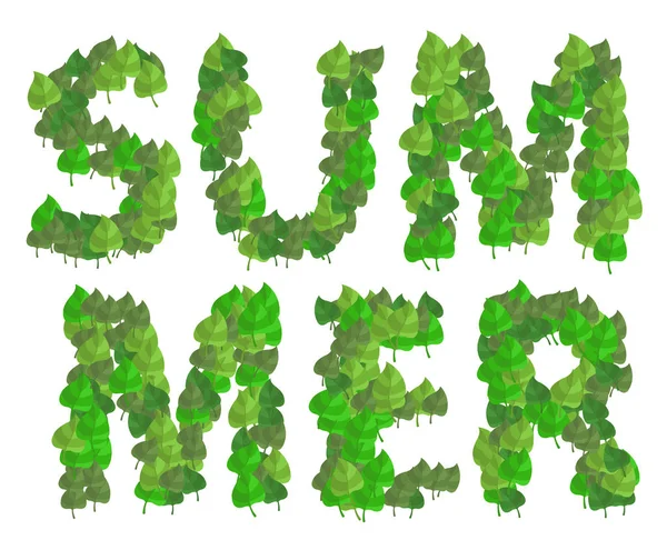 Letní Nápis Zelené Listy Bílém Pozadí — Stockový vektor