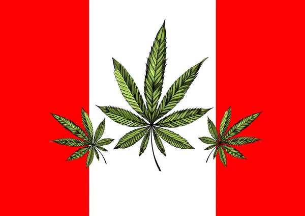 Flag Canada Med Marihuana Blad Begyndelsen Marihuana Legalisering Canada – Stock-vektor