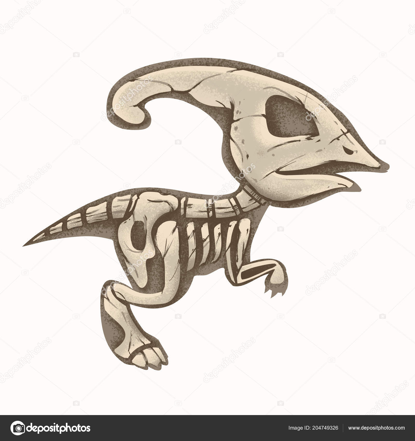 Esqueleto Fóssil De Dinossauro, Estilo De Desenho Animado Ilustração De  Vetor Plano Isolada Em Fundo Branco Ilustração do Vetor - Ilustração de  arqueologia, museu: 170261649
