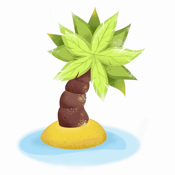Cartoon Palm Tree Isolated White Background — Stock Photo, Image