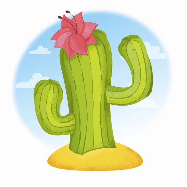 Colorful Blooming Cactus White Background — Stock Photo, Image