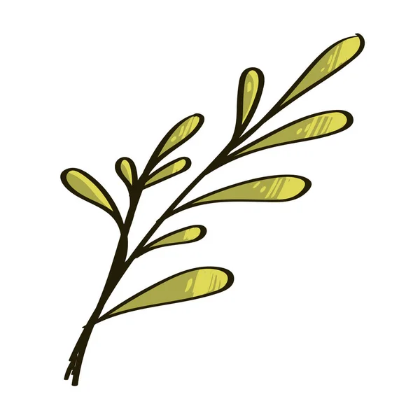 白地に葉が孤立した分枝 — ストックベクタ