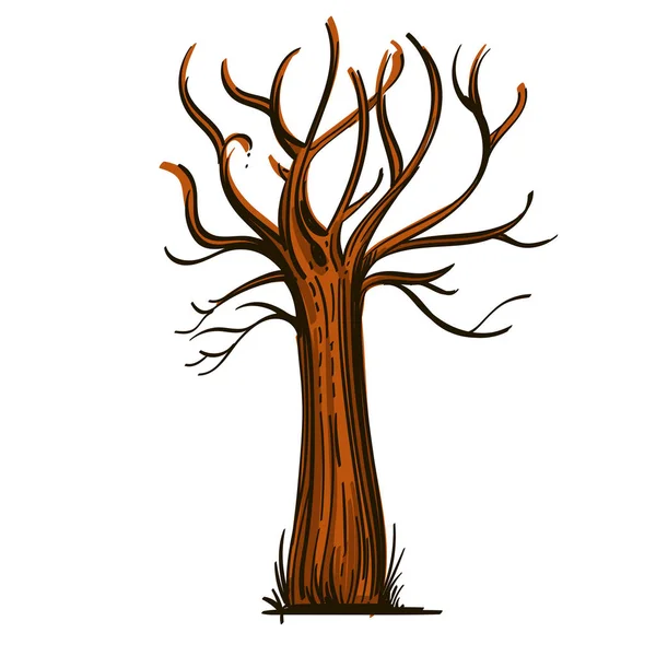 Árbol Desnudo Dibujado Mano Estilo Boceto — Vector de stock