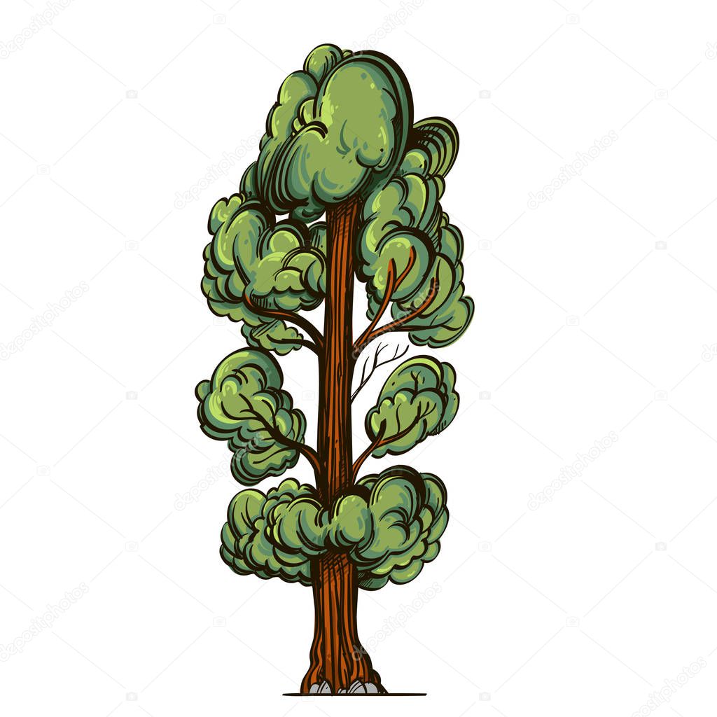 Green tree in cartoon style