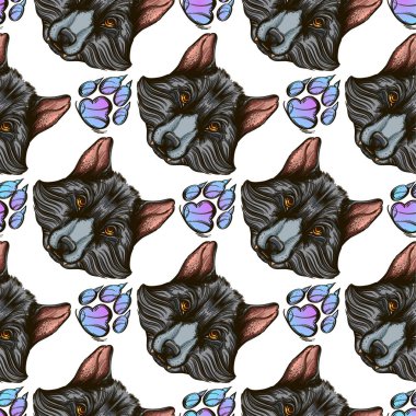 Kurt ile Seamless modeli başkanları ve duvar kağıdı-parmak paws