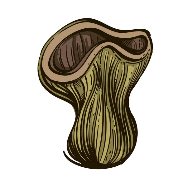 Fungo Foresta Marrone Stile Schizzo — Vettoriale Stock