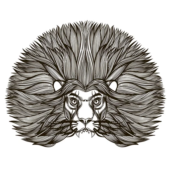 Tête Lion Isolée Sur Fond Blanc — Image vectorielle