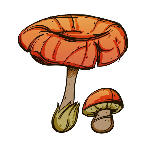白色背景的橙色瓶盖蘑菇 — 图库矢量图片