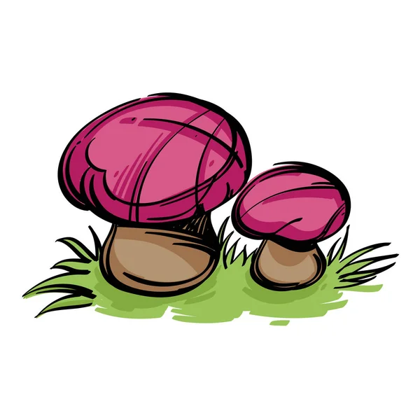 Funghi Con Tappi Rosa Isolati Sfondo Bianco — Vettoriale Stock