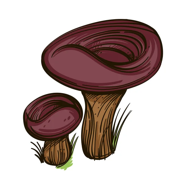 Sproeten Eetbaar Bos Paddestoelen Geïsoleerd Witte Achtergrond — Stockvector