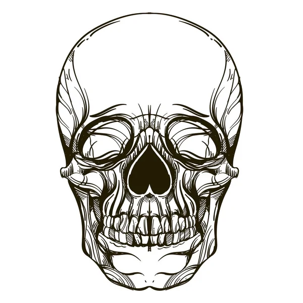 Calavera Humana Aislada Sobre Fondo Blanco Para Imprimir Camisetas Carteles — Vector de stock