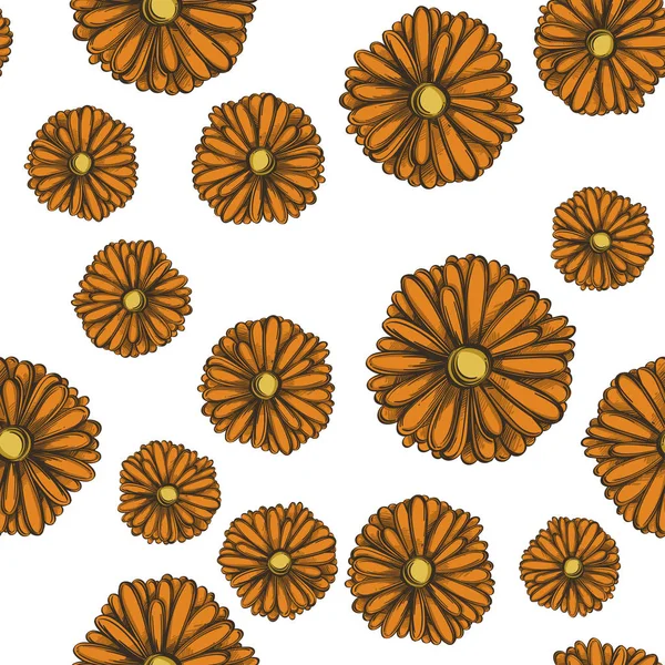 Seamless Pattern Calendula Flowers Wrapping Paper — Stock Vector