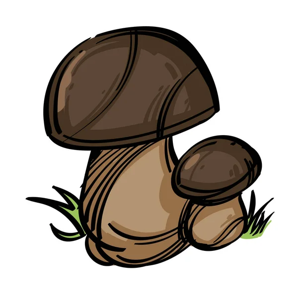 Funghi Porcini Funghi Forestali Commestibili Isolati Fondo Bianco — Vettoriale Stock