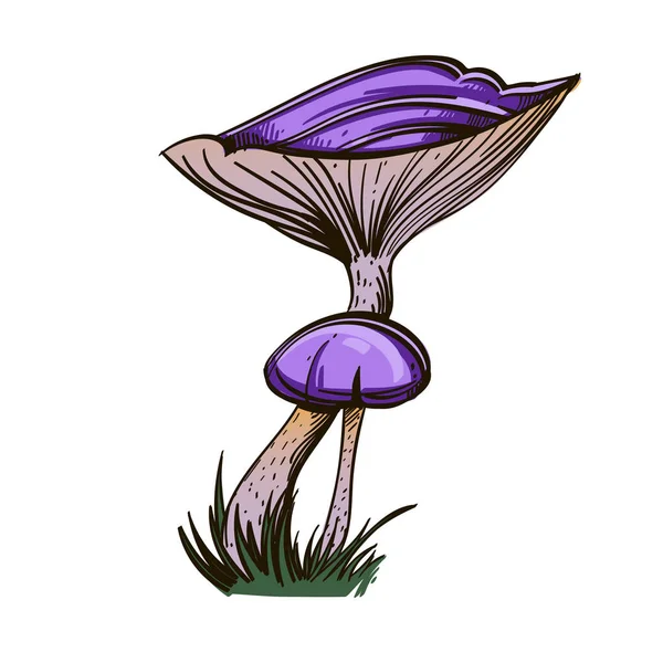 Champignon Violet Dans Style Croquis — Image vectorielle