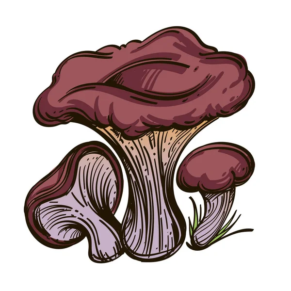 Russules 可食用的森林蘑菇在白色背景下被隔绝 — 图库矢量图片