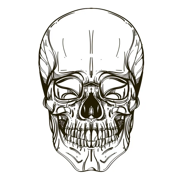 Череп Человека Изолирован Белом Фоне Печати Футболках Плакатах Других Предметах — стоковый вектор