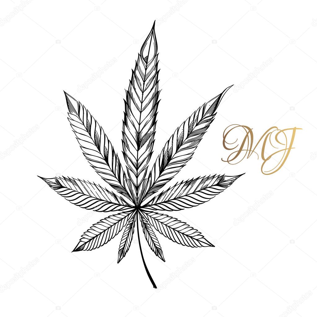 Marijuana leaf outline icon on white background