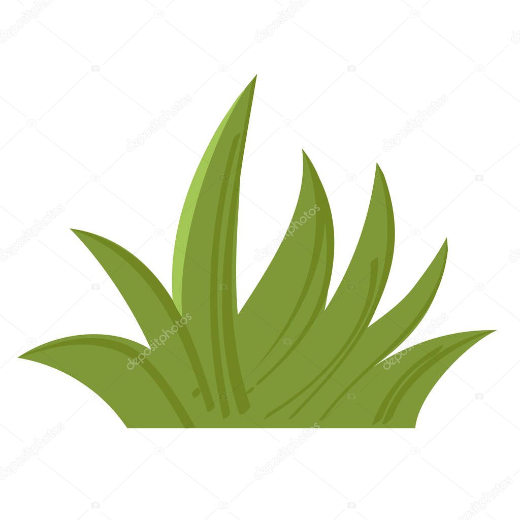 Green grass isolated on white background