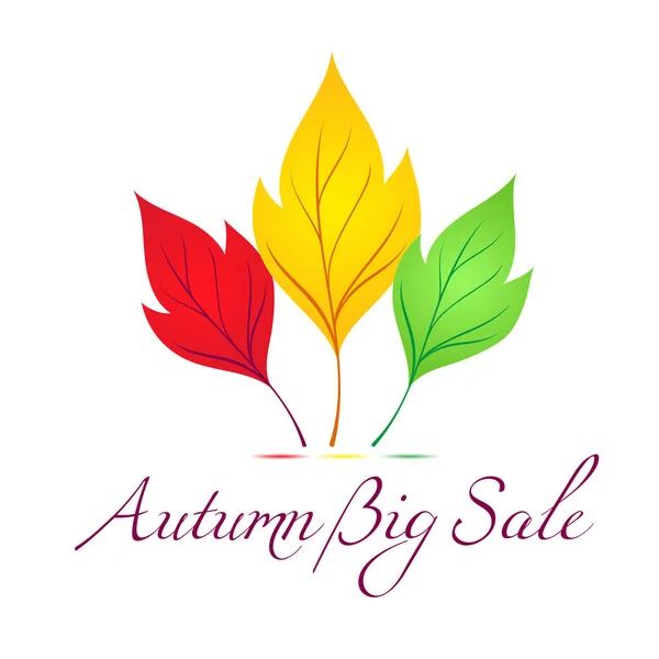 Piękny Jesienny Baner Dla Akcje Promocyjne Sprzedaż Tło Liści Klonu — Wektor stockowy