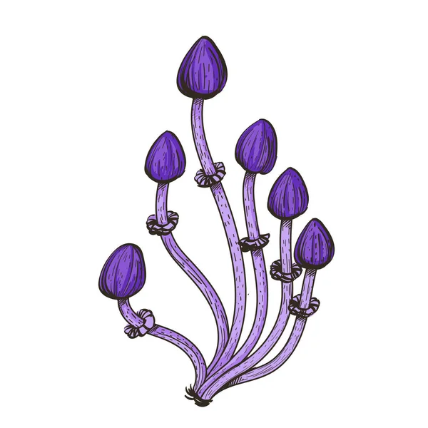 紫のマジック マッシュ ルーム 白い背景で隔離のベクトル図 — ストックベクタ