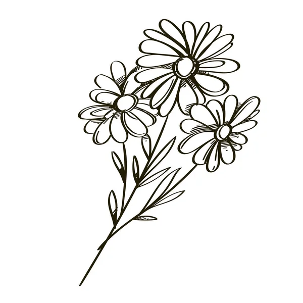 Kır Çiçeği Elinde Çizilmiş Kroki Tarzı Tebrik Kartları Davetiyeler Çok — Stok Vektör
