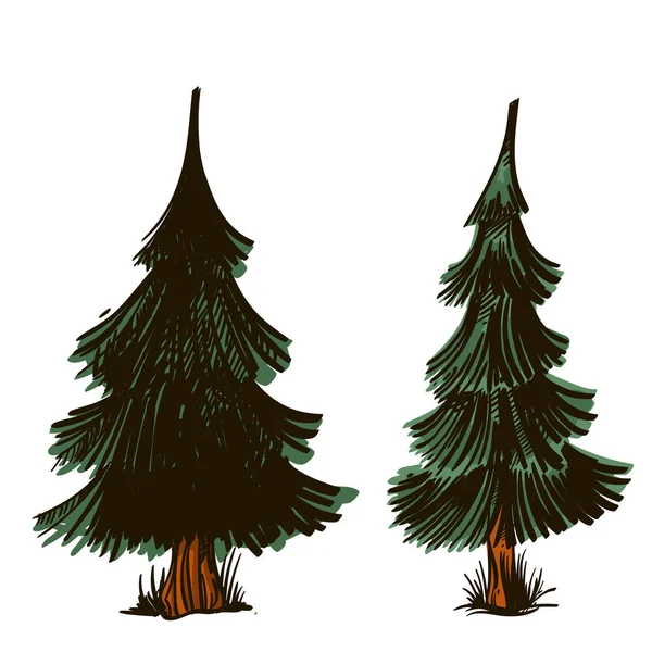 冷杉树在手画 素描风格 用于游戏设计和动画的景观元素 在白色背景查出的向量例证 — 图库矢量图片