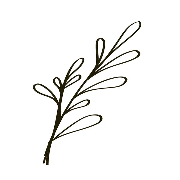 Branche Avec Des Feuilles Style Doodle Élément Végétal Décoratif Pour — Image vectorielle