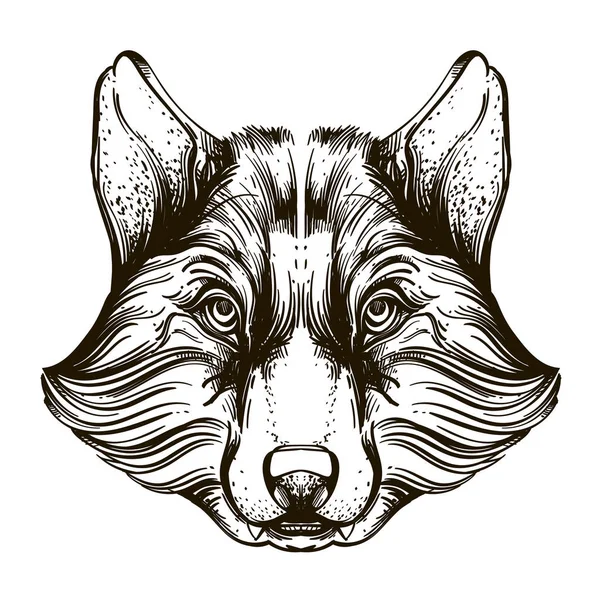 Cabeça Wolf Desenho Ilustração Vetorial Isolada Fundo Branco Para Tatuagens — Vetor de Stock