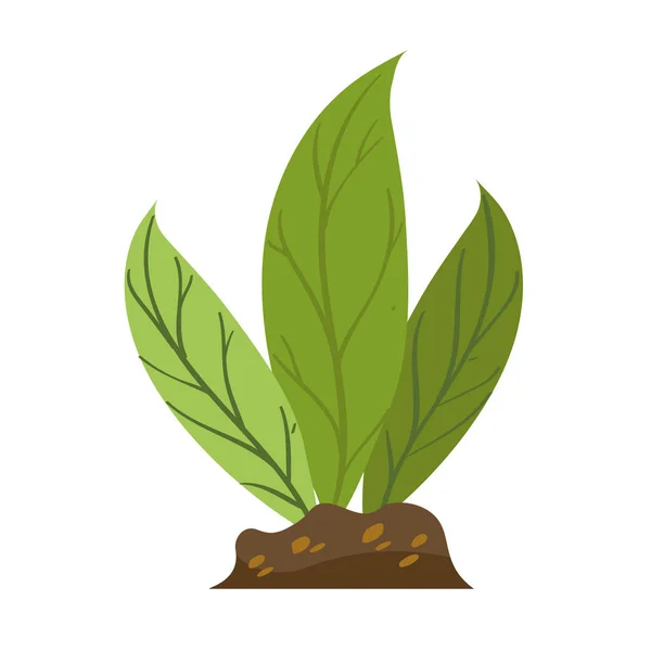 Planta Verde Ilustración Vectorial Aislada Sobre Fondo Blanco Elemento Gráfico — Archivo Imágenes Vectoriales