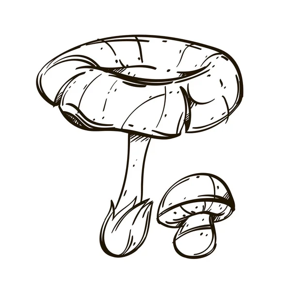 Champignons Forestiers Illustration Vectorielle Contour Isolée Sur Fond Blanc — Image vectorielle