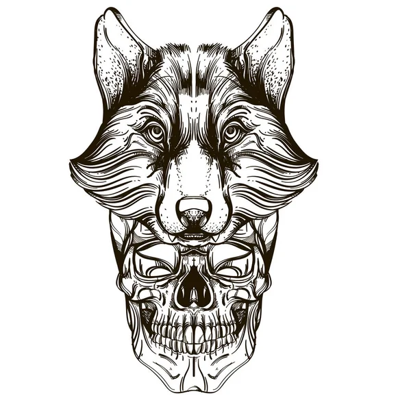 Calavera Con Máscara Lobo Ilustración Vectorial Contorno Aislada Sobre Fondo — Archivo Imágenes Vectoriales