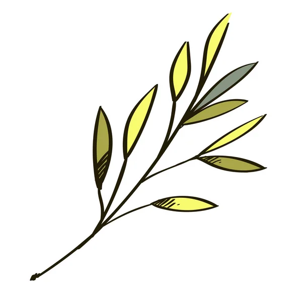 落書きスタイルの葉枝 グリーティング カード 招待状など多くの要素を装飾的な植物です 白い背景で隔離のベクトル図 — ストックベクタ