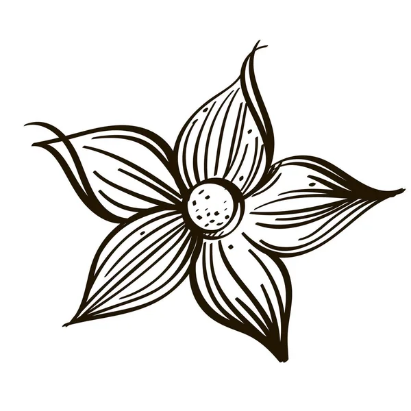 Bloem Hand Getekende Stijl Decoratieve Bloemen Element Voor Wenskaarten Uitnodigingen — Stockvector