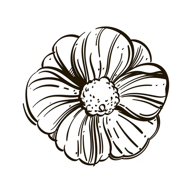 Flor Estilo Dibujado Mano Elemento Floral Decorativo Para Tarjetas Felicitación — Archivo Imágenes Vectoriales