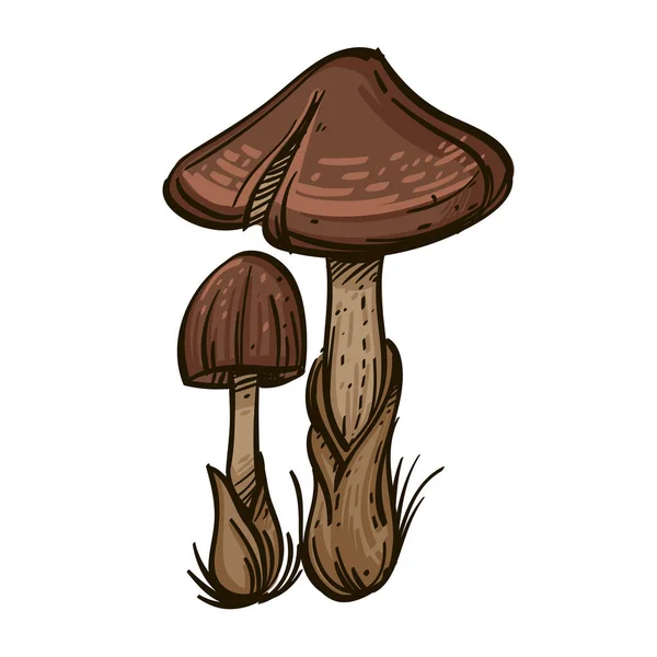 Parapluies Champignons Tabourets Illustration Vectorielle Isolée Sur Fond Blanc — Image vectorielle