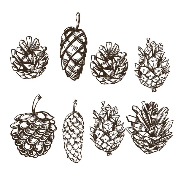 Set Different Cones Outline Vector Illustration Isolated White Background Stock Vector