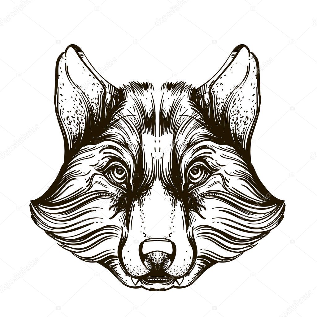 Wolf's head. Outline vector illustration isolated on white background for tattoos, posters, printing on T-shirts and other items.