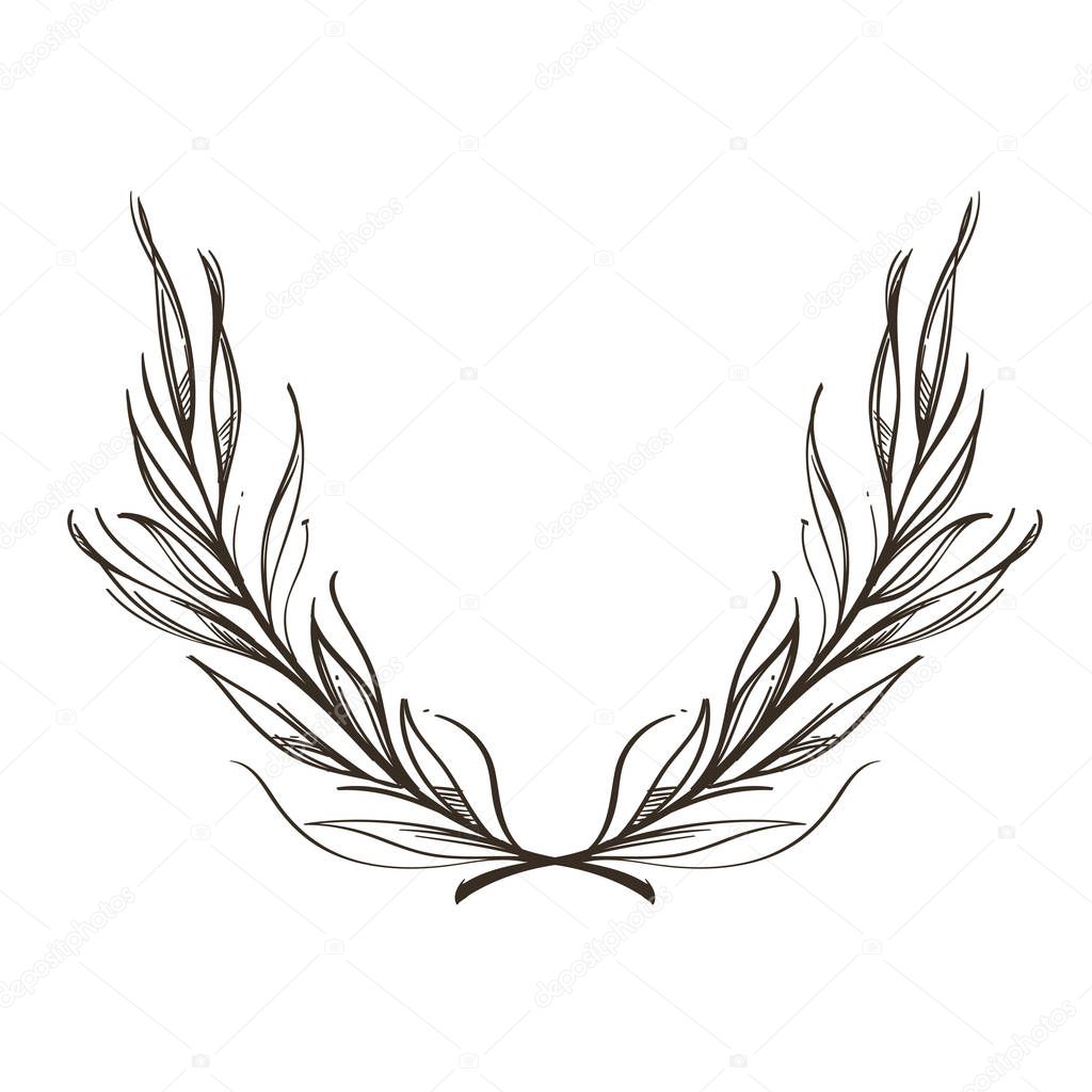 Branches with leaves in hand drawn, sketch style. Decorative plant element for greeting cards, invitations and much more. Outline vector illustration isolated on white background.