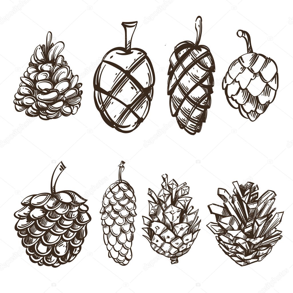 Set of different cones. Outline vector illustration isolated on white background.