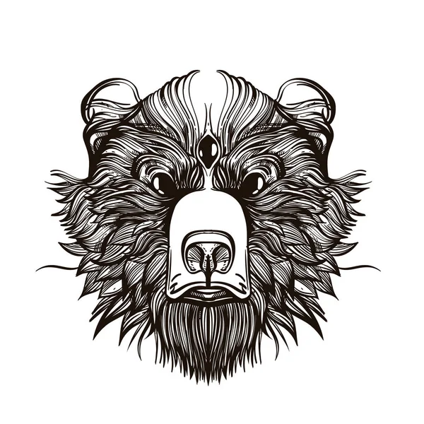 Head Bear Third Eye Outline Vector Illustration Isolated White Background — Stock Vector