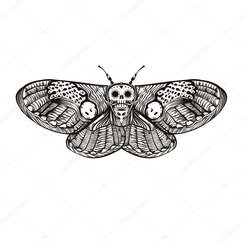 Death's-head hawk moth. Outline vector illustration isolated on white background for tattoos, posters, print on T-shirts and other items.