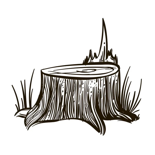 Великий Пень Старого Дерева Контурна Векторна Ілюстрація Ізольована Білому Тлі — стоковий вектор
