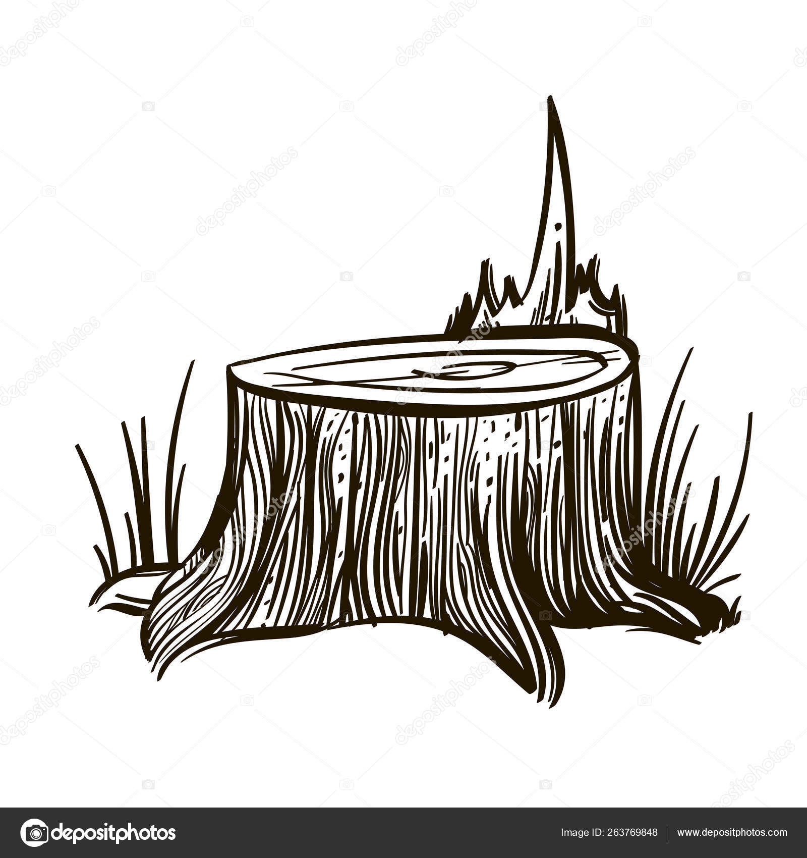 Textural tree stump with a piece of sharp wood, around the grass