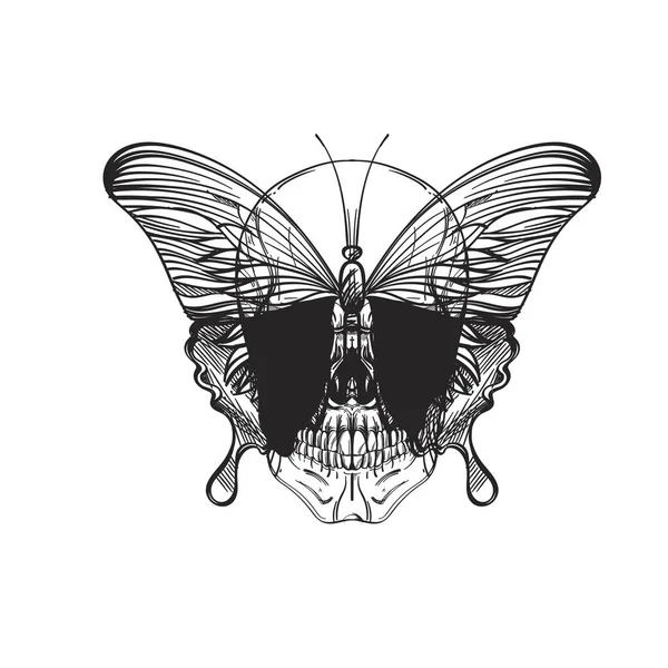 Schedel met vlinder in lineaire stijl. — Stockvector