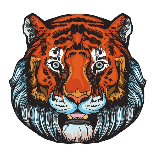 Tête Tigre Dessinée Main Isolée Sur Fond Blanc — Image vectorielle
