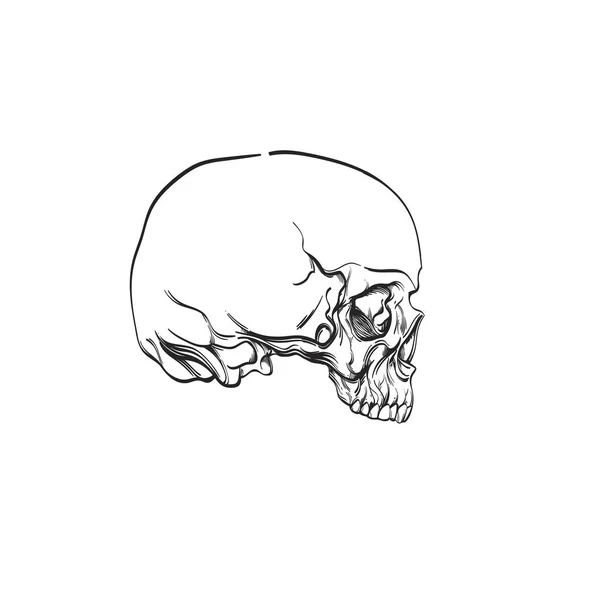 Calavera humana de perfil. Ilustración vectorial de contorno aislada sobre fondo blanco para tatuajes, colorear y mucho más . — Archivo Imágenes Vectoriales