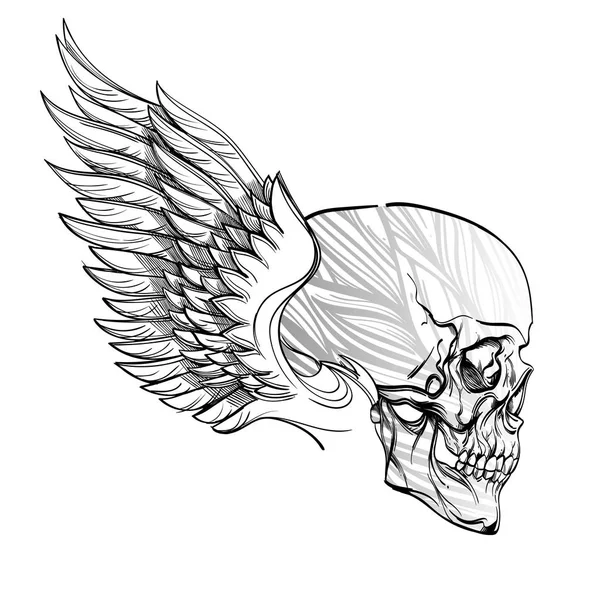 Winged skull in linear style. — 스톡 벡터