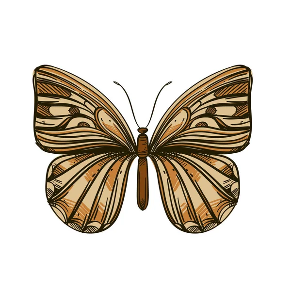 Mooie hand getekende Butterfly. Vector illustratie geïsoleerd op witte achtergrond voor tatoeages, afdrukken op T-shirts en andere items. — Stockvector