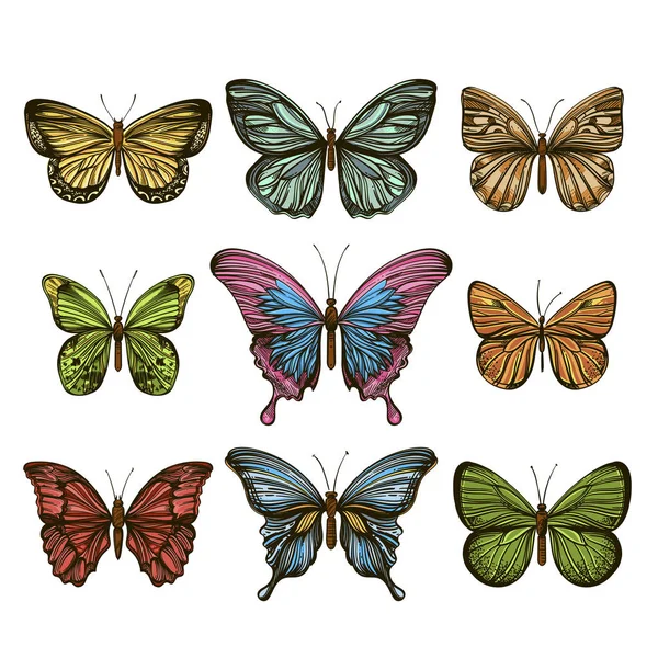 Conjunto de hermosas mariposas dibujadas a mano. Ilustración vectorial aislada sobre fondo blanco para tatuajes, impresión en camisetas y otros artículos . — Archivo Imágenes Vectoriales