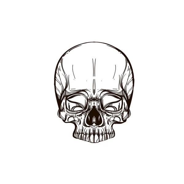 Calavera humana. Ilustración vectorial de contorno aislada sobre fondo blanco para tatuajes, colorear y mucho más . — Vector de stock